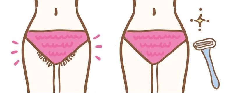 pubic hair
